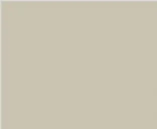 Champagne Gold - S005